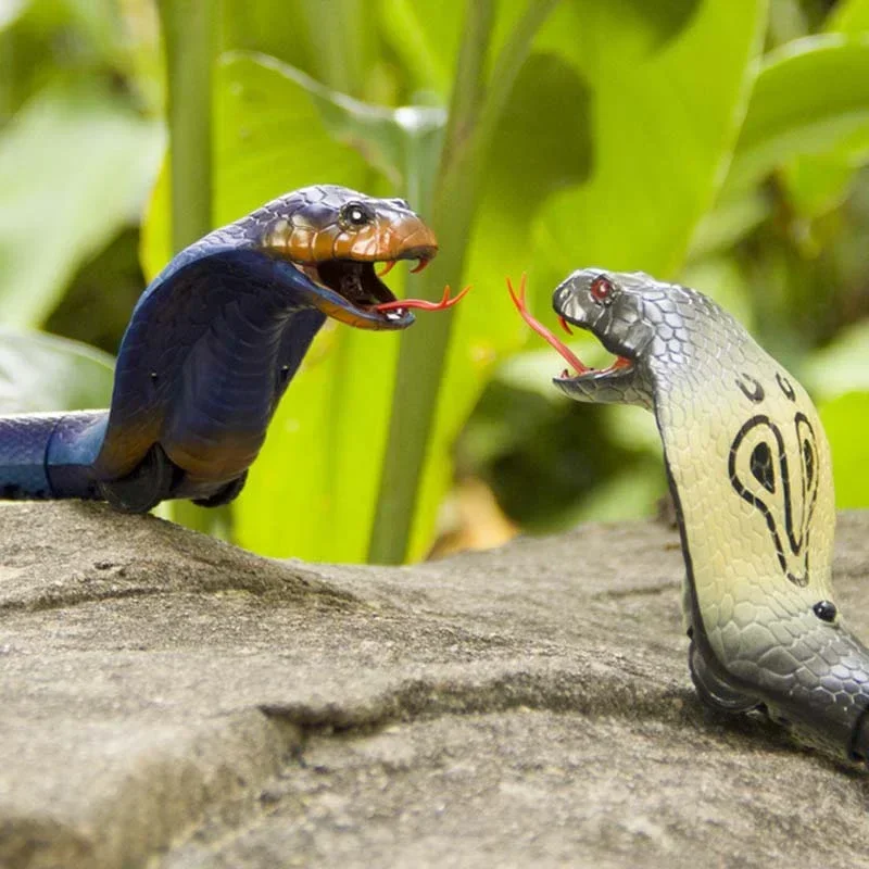 Serpiente realista RC, juguete - Ir Infrared Receiver reseña y precio